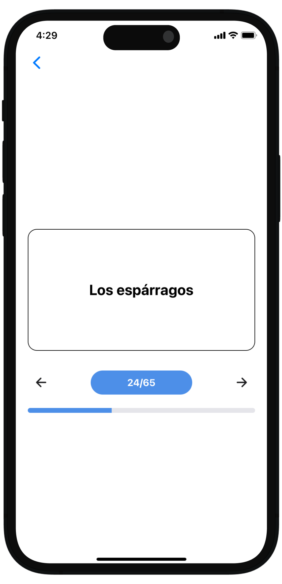 Flashcards Preview Screen