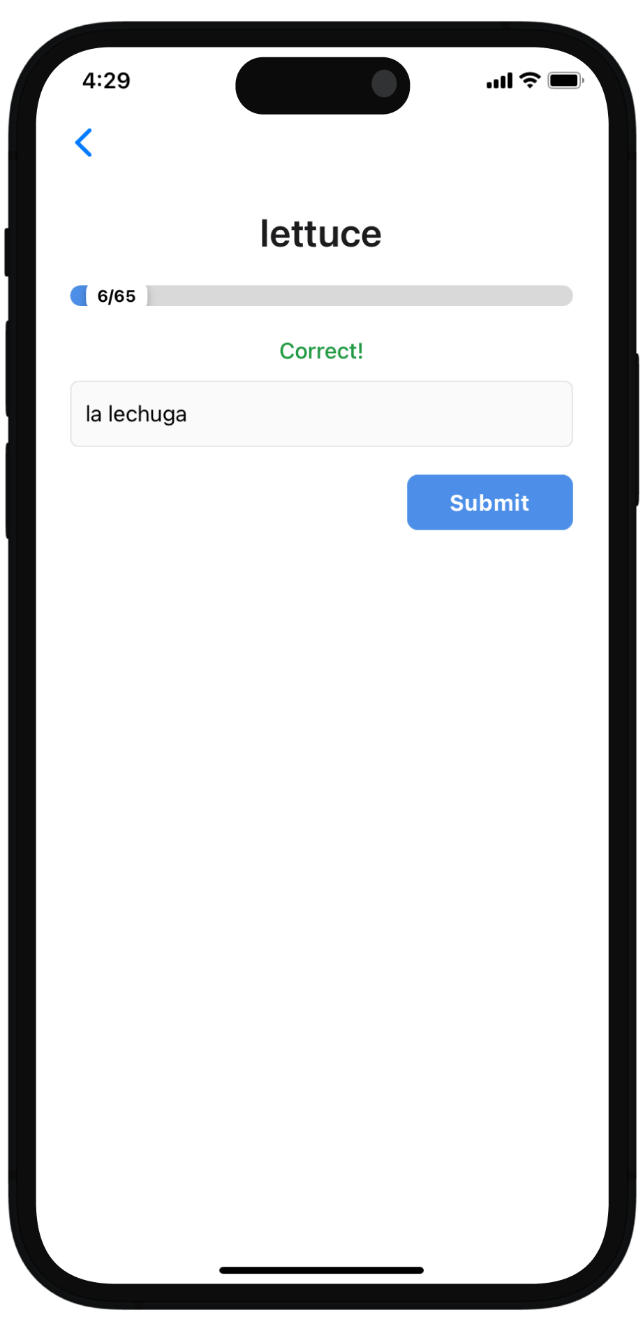 Spelling Drills Preview Screen